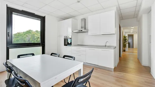 Rooms in Milano Zona 3 - Porta Venezia, Città Studi, Lambrate - photo 10