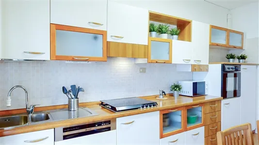 Rooms in Padua - photo 6