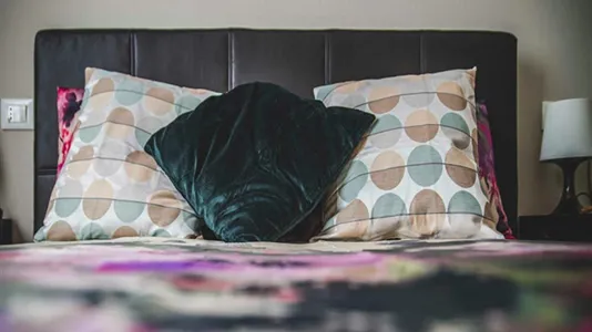 Rooms in Milano Zona 2 - Stazione Centrale, Gorla, Turro, Greco, Crescenzago - photo 3