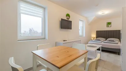 Apartment for rent in Český Krumlov, Jihočeský kraj