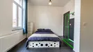 Room for rent, Brussels Etterbeek, Brussels, Rue des Boers, Belgium
