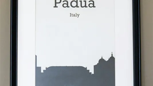 Rooms in Padua - photo 6