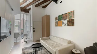 Apartment for rent in Barcelona Ciutat Vella, Barcelona