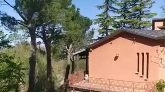 Rooms in Pianoro - photo 1