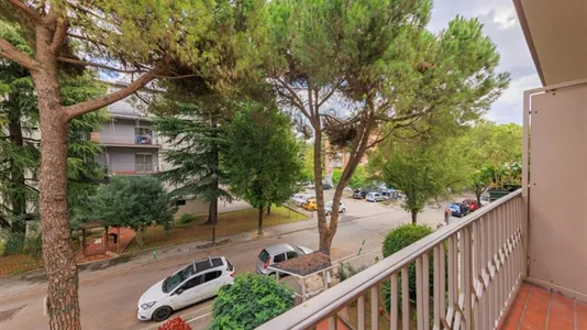 Rooms in Padua - photo 7