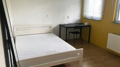 Room for rent in Rotterdam
