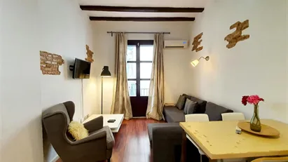 Apartment for rent in Barcelona Ciutat Vella, Barcelona