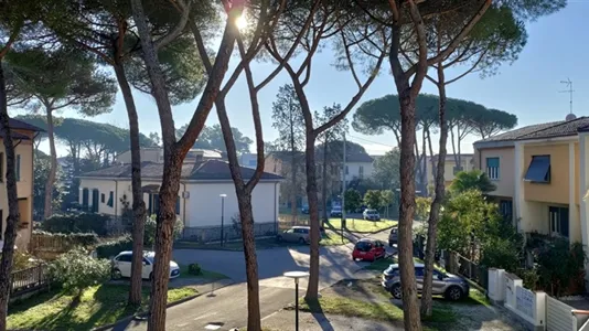 Rooms in Pisa - photo 8