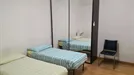 Room for rent, Padua, Veneto, Via Vecchia