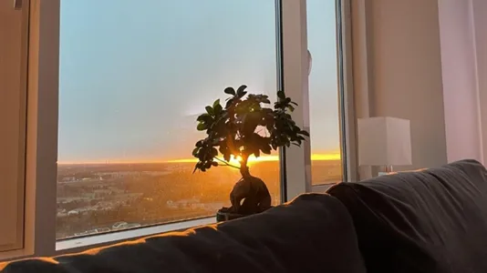 Apartments in Stockholm West - photo 7