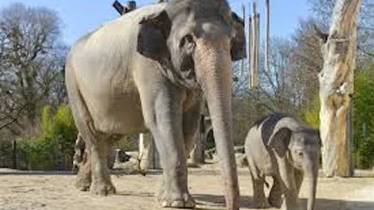 Apartments in Location is not specified - photo 9