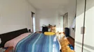 Room for rent, Cologno Monzese, Lombardia, Via Merano, Italy