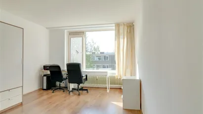 Room for rent in Rotterdam
