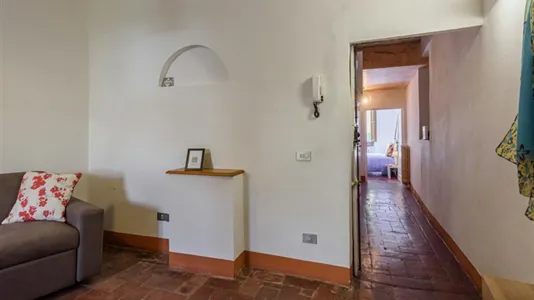 Apartments in Florence - photo 5