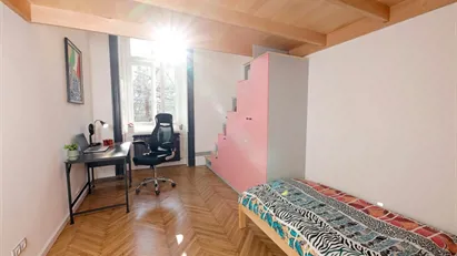 Room for rent in Budapest Józsefváros, Budapest