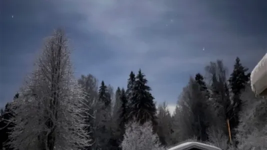 Houses in Tierp - photo 10