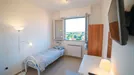 Room for rent, Milano Zona 9 - Porta Garibaldi, Niguarda, Milan, Via Alessandro Litta Modignani, Italy