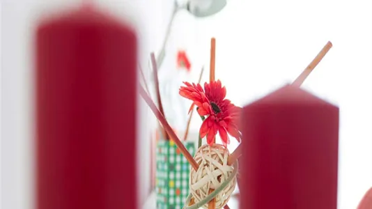 Rooms in Sesto San Giovanni - photo 5