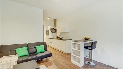 Apartment for rent in Amsterdam Zuideramstel, Amsterdam