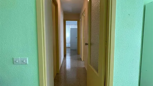 Rooms in Las Palmas de Gran Canaria - photo 4