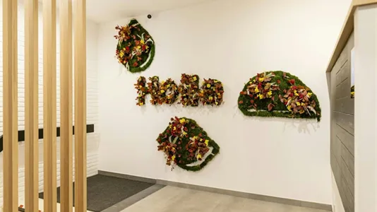 Rooms in Brussels Sint-Pieters-Woluwe - photo 10