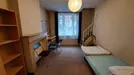 Room for rent, Brussels Etterbeek, Brussels, Rue de Linthout, Belgium