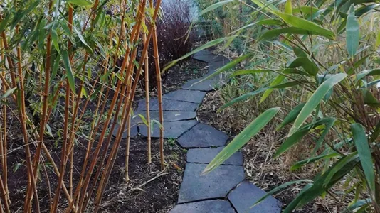 Apartments in Clermont-Ferrand - photo 5