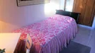 Room for rent, Florence, Toscana, Via Fra Domenico Buonvicini