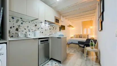Apartment for rent in Barcelona Ciutat Vella, Barcelona Apartment for rent in Barcelona Ciutat Vella, Barcelona