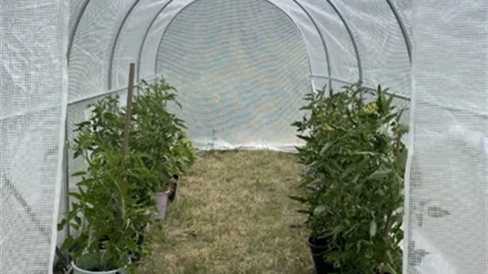 Houses in Falun - photo 13