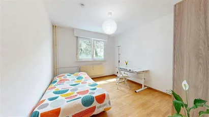 Room for rent in Colmar-Ribeauvillé, Grand Est
