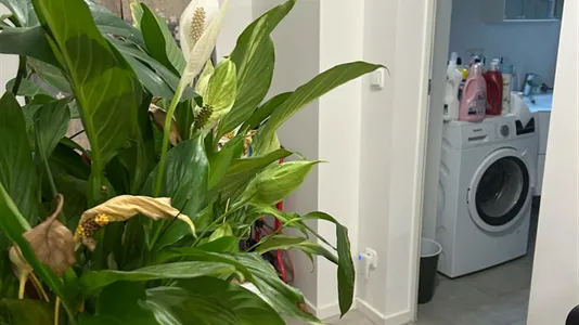 Rooms in Location is not specified - photo 7