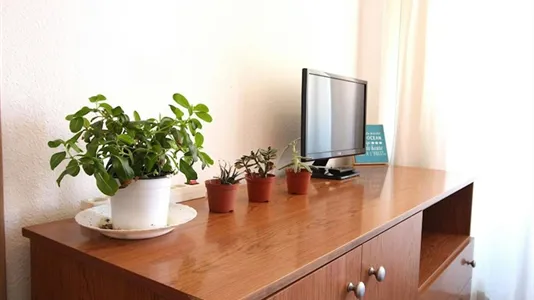 Apartments in Valencia Algirós - photo 2