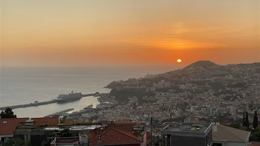 Houses in Funchal - photo 10
