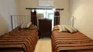 Room for rent, Florence, Toscana, Lungarno Amerigo Vespucci, Italy