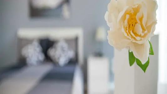 Rooms in Sesto San Giovanni - photo 5