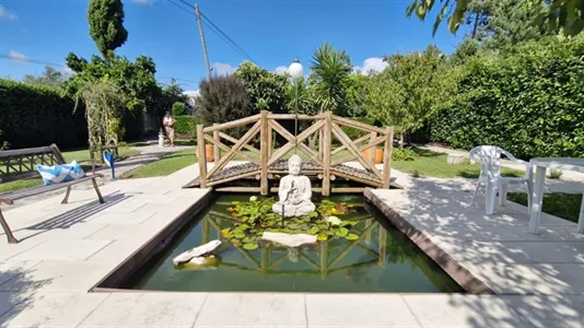 Houses in Pombal - photo 5