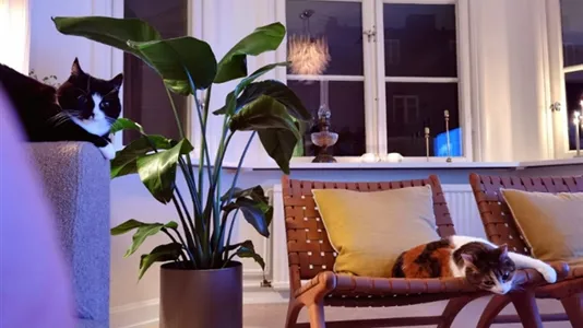 Apartments in Kungsholmen - photo 11