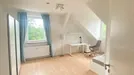 Room for rent, Potsdam, Brandenburg, Geschwister-Scholl-Straße, Germany