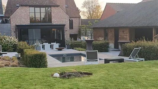 Houses in Gavere - photo 8