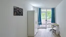 Room for rent, Dusseldorf, Nordrhein-Westfalen, &lt;span class=&quot;blurred street&quot; onclick=&quot;ProcessAdRequest(13055090)&quot;&gt;&lt;span class=&quot;hint&quot;&gt;See streetname&lt;/span&gt;[xxxxxxxxxxxxx]&lt;/span&gt;
