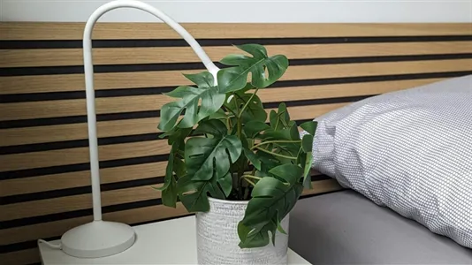 Apartments in Esslingen - photo 6