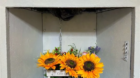 Apartments in Milano Zona 9 - Porta Garibaldi, Niguarda - photo 10