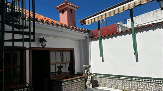 Rooms in La Orotava - photo 2