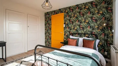 Room for rent in Rotterdam