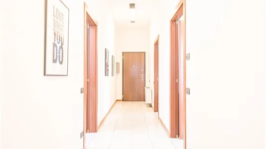 Rooms in Padua - photo 7