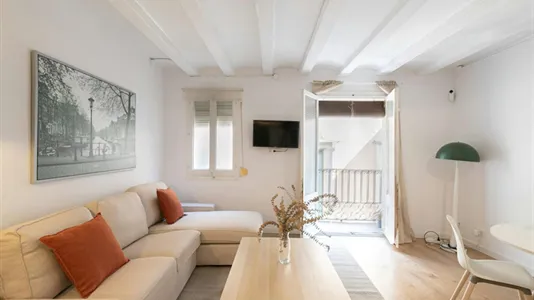 Apartments in Barcelona Ciutat Vella - photo 3