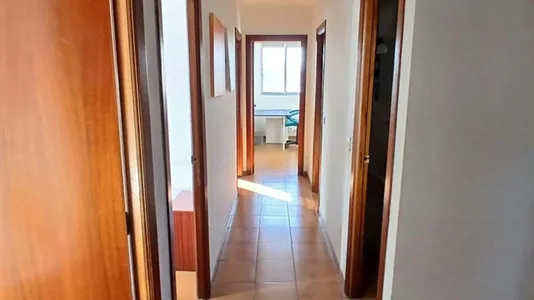 Rooms in Valladolid - photo 3
