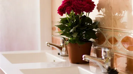 Rooms in Valencia Poblats Marítims - photo 9