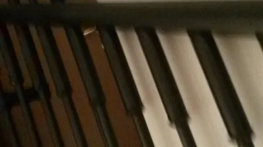 Rooms in Trento - photo 10